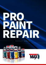 Pro Paint Repair