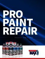 Pro Paint Repair