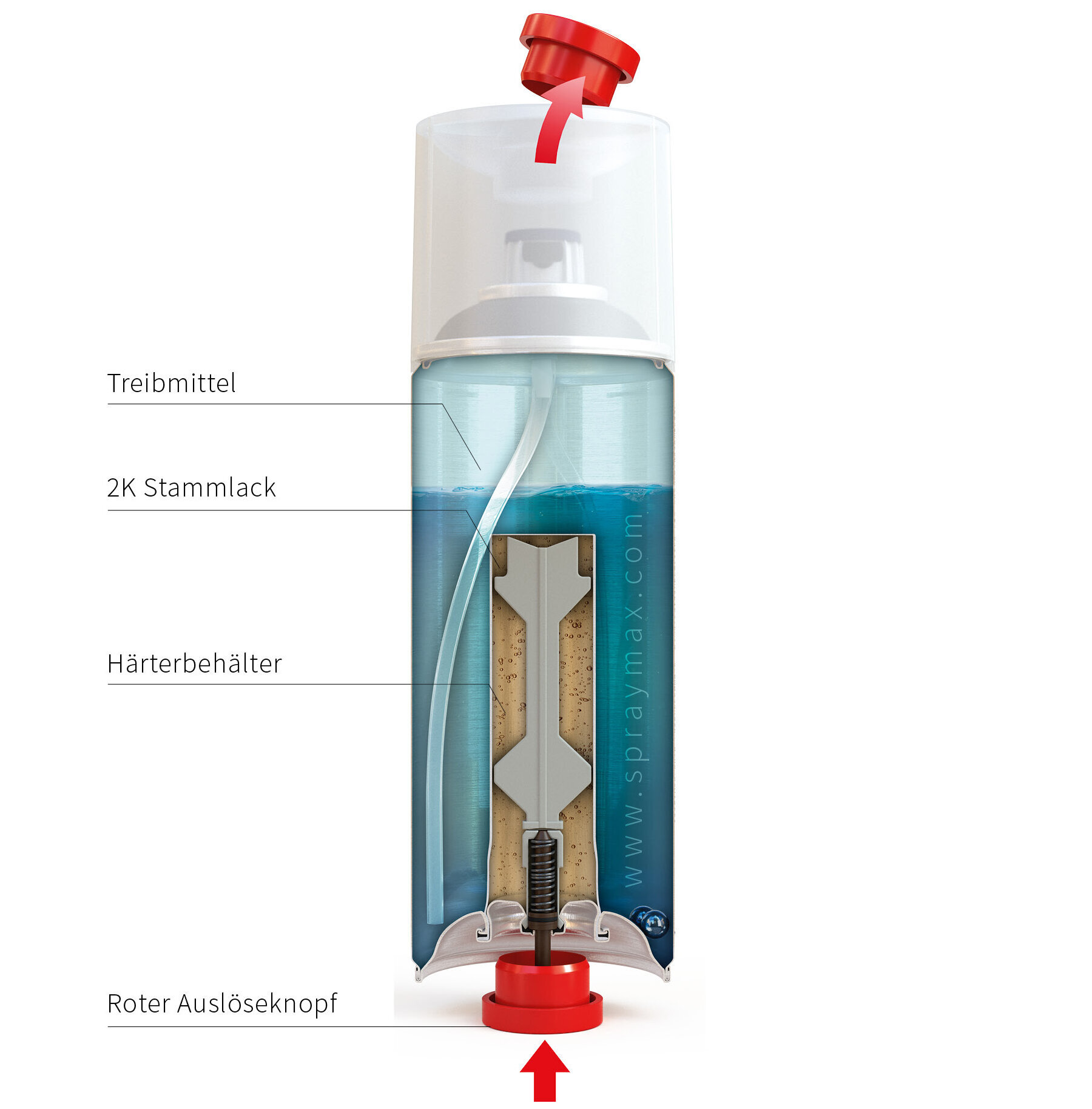 Dosenquerschnitt 2K