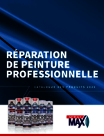 Reperation de Peinture professionelle