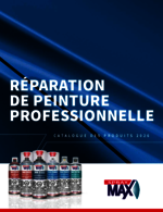 Reperation de Peinture professionelle