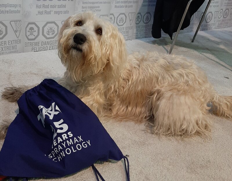 Hund mit SprayMax shirt